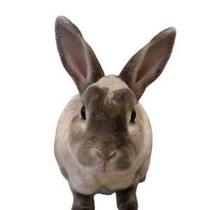 Meet your Posher, Fantine